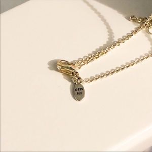 Pandora necklace